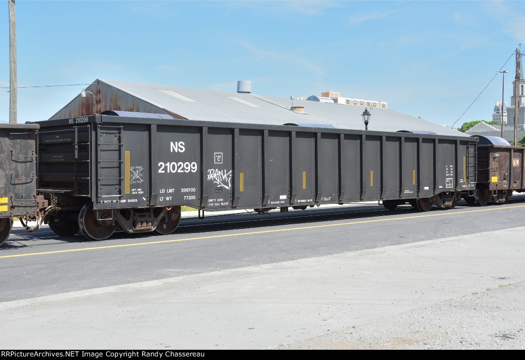 NS 210299